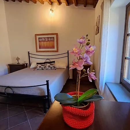 Podere Oliveta Oda ve Kahvaltı