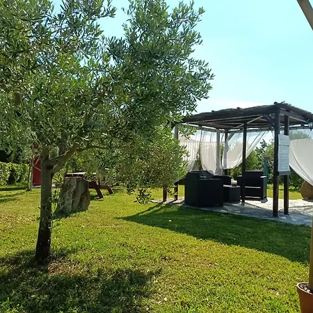 Oda ve Kahvaltı Podere Oliveta